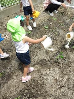 ん　じょうろに　水　なくなったかな？