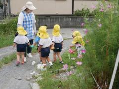 ゲートボール場の　コスモスに　見送られ